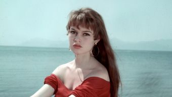 19-Year-Old Brigitte Bardot at the 1953 Cannes Film Festival: A Star in the Making