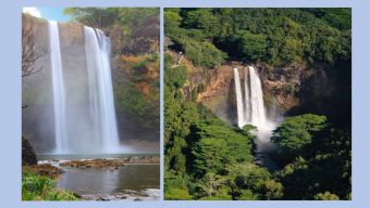 Wailua Falls: The Ultimate Hawaiian Escape You Can’t Miss